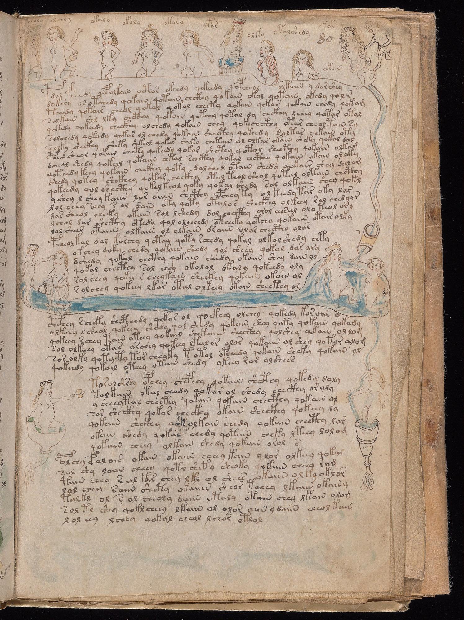 Voynich Manuscript folio f80r — Beinecke MS 408